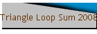 Triangle Loop Sum 2008