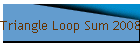 Triangle Loop Sum 2008